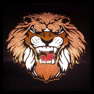 Glitter Rockstar VampLion hoodie